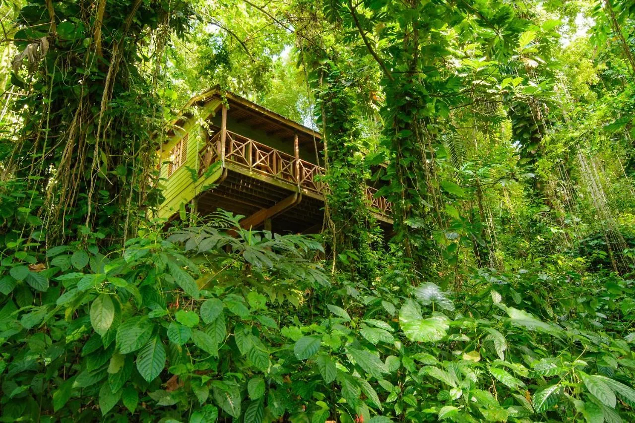 Kanopi House Hotel Port Antonio Jamaica